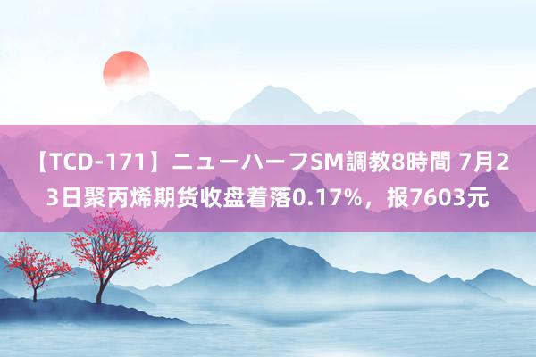 【TCD-171】ニューハーフSM調教8時間 7月23日聚丙烯期货收盘着落0.17%，报7603元