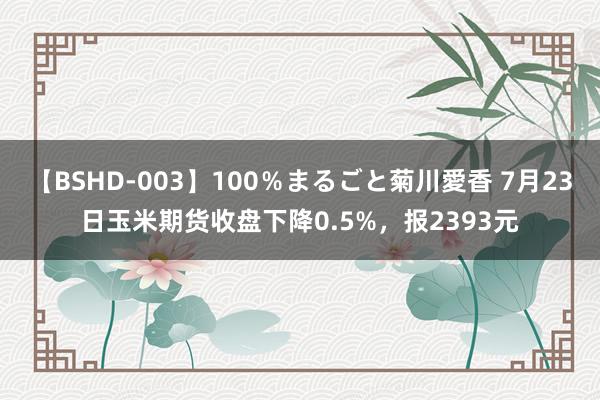 【BSHD-003】100％まるごと菊川愛香 7月23日玉米期货收盘下降0.5%，报2393元