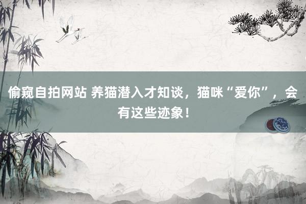 偷窥自拍网站 养猫潜入才知谈，猫咪“爱你”，会有这些迹象！