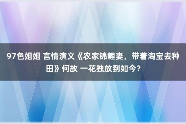 97色姐姐 言情演义《农家锦鲤妻，带着淘宝去种田》何故 一花独放到如今？