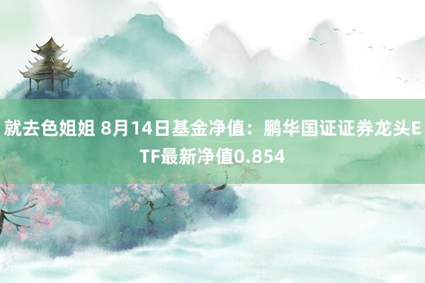 就去色姐姐 8月14日基金净值：鹏华国证证券龙头ETF最新净值0.854