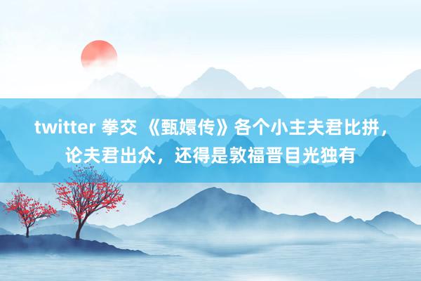 twitter 拳交 《甄嬛传》各个小主夫君比拼，论夫君出众，还得是敦福晋目光独有