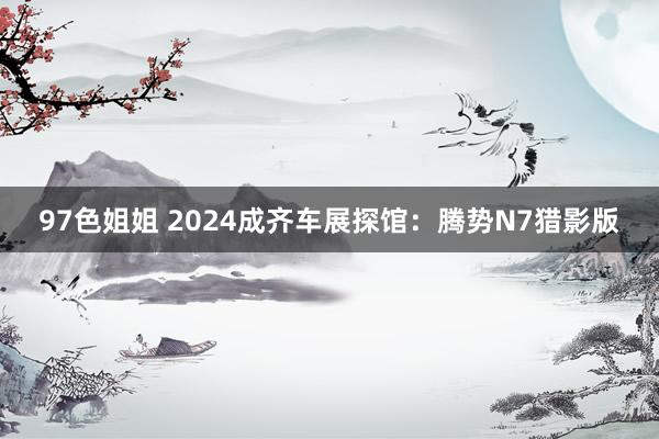 97色姐姐 2024成齐车展探馆：腾势N7猎影版