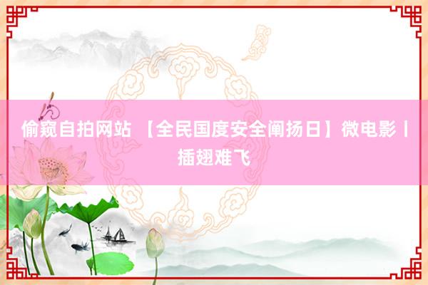偷窥自拍网站 【全民国度安全阐扬日】微电影丨插翅难飞