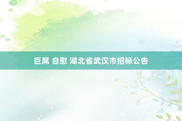 巨屌 自慰 湖北省武汉市招标公告