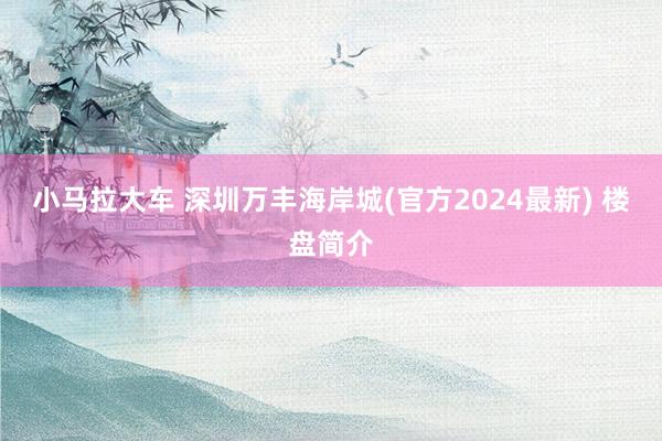 小马拉大车 深圳万丰海岸城(官方2024最新) 楼盘简介