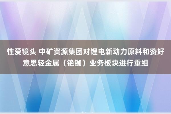 性爱镜头 中矿资源集团对锂电新动力原料和赞好意思轻金属（铯铷）业务板块进行重组